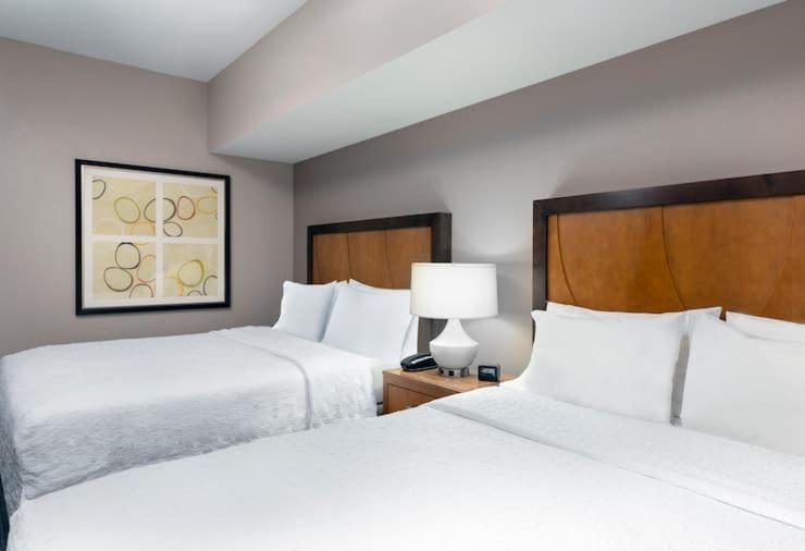 Hampton Inn And Suites Clayton/St. Louis-Galleria Area Eksteriør billede